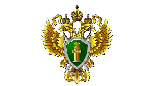 «Выплаты для семей с детьми: что положено и куда обращаться за социальной помощью».